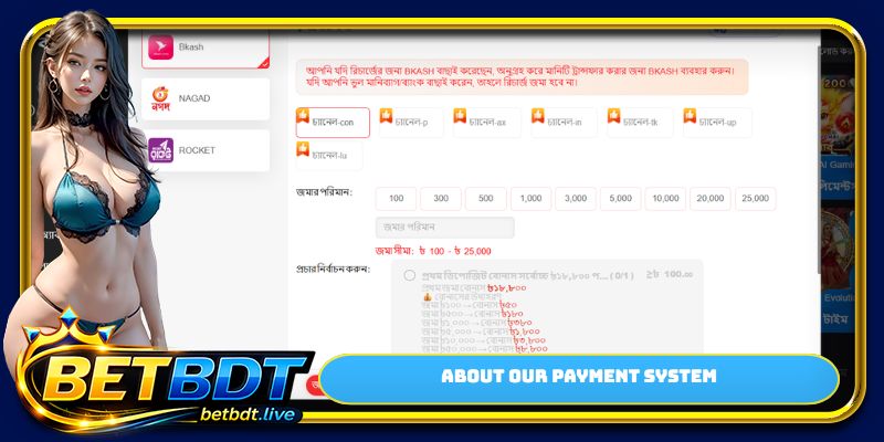 About our payment system
