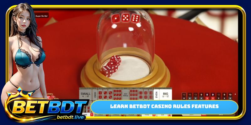 Learn BETBDT casino rules features
